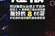 娱乐吃瓜dj,跟随吃瓜DJ探寻明星幕后故事